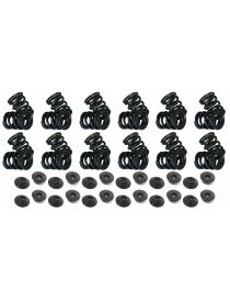 Versterkte klepverensets CATCAMS SUPERTECH FERREA BMW M50B25TU M52 M54