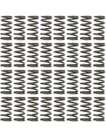 Ressorts intérieurs renforcés CATCAMS BMW 4.0i 32V M60B40 540i E34