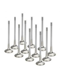 Verstarkte Auslassventile BMW N54B30