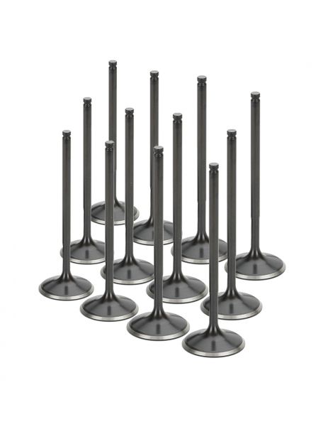 Kleps Inlaat versterkt BMW N53B30 N54B30