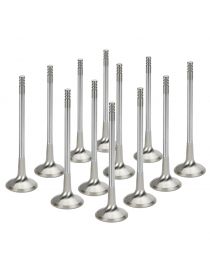 Valvole Scarico rinforzate BMW M3 E36 S50B30