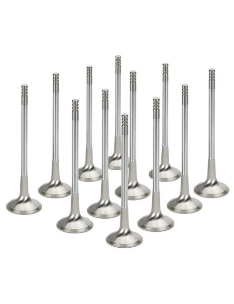 Verstarkte Auslassventile BMW M3 E36 S50B30