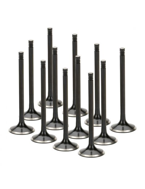 Verstarkte Auslassventile BMW M3 E46 Z3M Z4M S54B32