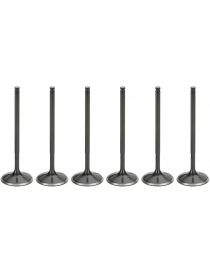 VAG 5 cyl 2.2/2.3 Audi 80/100/A6/RS2 Arbres a cames Catcams