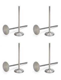 Soupapes admission renforcées PSA 2.0 16V EW10J4