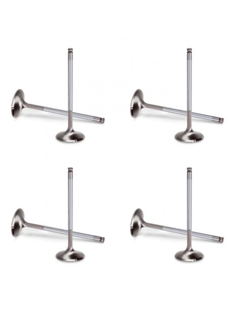 Soupapes admission renforcées PSA Xsara VTS ZX 306 S16 XU10J4RS