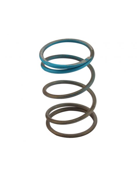 WG45/50 14psi Blue Outer Spring
