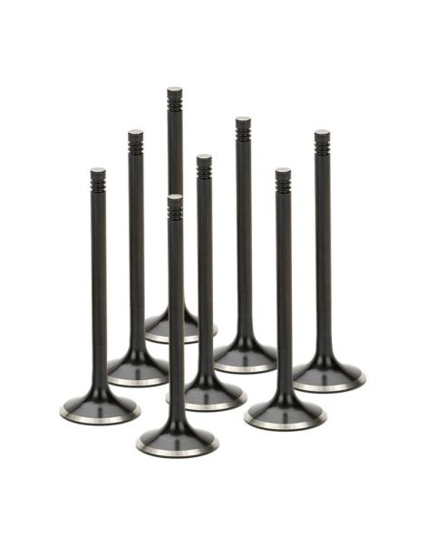 Soupapes admission renforcées BMW M42B18