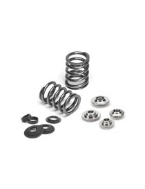 Ressorts soupapes renforcés Audi S6 RS6 C7 4.0 TFSI V8 - 32 soupapes