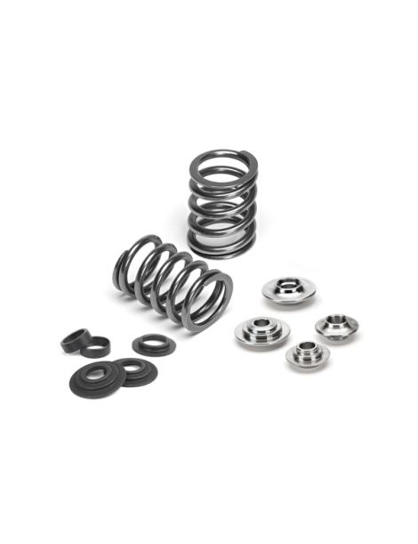 Ressorts soupapes renforcés Audi S6 RS6 C7 4.0 TFSI V8 - 32 soupapes