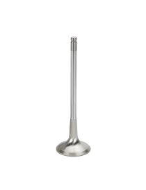 Cat Cams Intake Valve Peugeot EW10J4S - Ø35mm