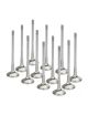 Soupapes d'échappement SUPERTECH Nissan RB25DET +1mm - Ø30,65mm
