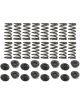 Kit Ressorts + Coupelles CATCAMS Honda D16A9 D16Z5 1.6 16v - 16 Soupapes