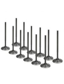 Valvole Aspirazione Rinforzate VAG 1.8T 20V