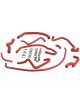 PEUGEOT 405 Mi16 1.9 16V Kit di 10 tubi acqua in silicone REDOX con fascette