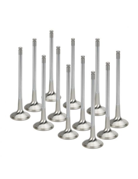 Kleps Uitlaat versterkt BMW N54B30