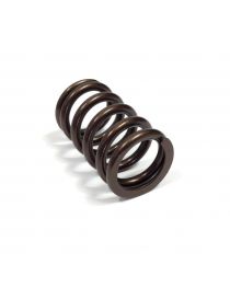 Reinforced valve spring Catcams part number PAC-E99862