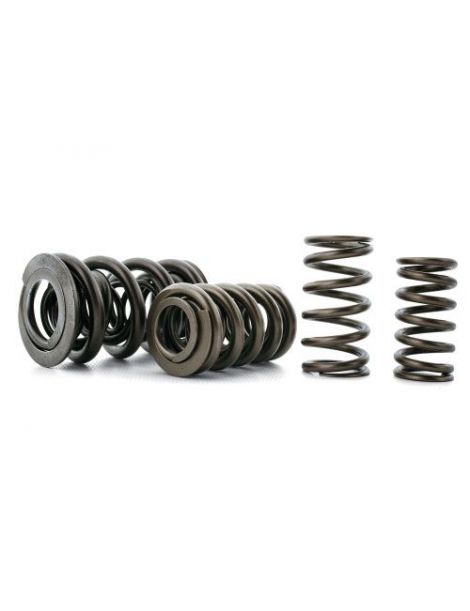 FERREA reinforced double valve spring, reference S10074 - Sold individually
