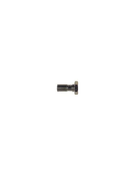 Tornillo banjo corto simple M12x100