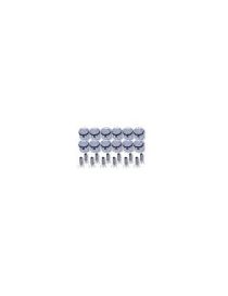 FERRARI 330 GTC, GTS, GT 4.0 24V 1966-1968 Kit 12 pistons forgés WISECO RV 8.8:1 (montage atmo)