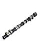 PSA 1.9/2.0 8V XU9/XU10 Albero a camme CATCAMS PEUGEOT 205/306/309/405 CITROEN EVASION/XM/XANTIA/XSARA/ZX