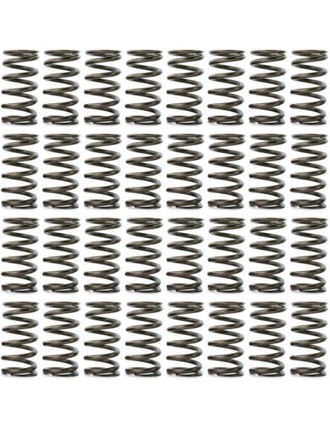 Ressorts intérieurs renforcés CATCAMS BMW 4.0i 32V M60B40 540i E34