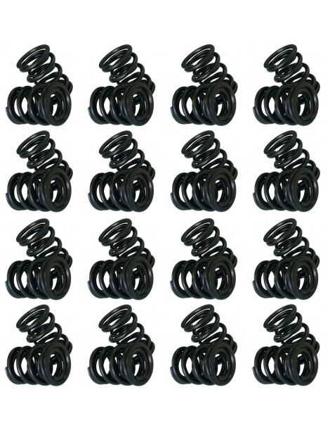 Ressorts doubles renforcés CATCAMS BMW 4.0i 32V M60B40 540i E34