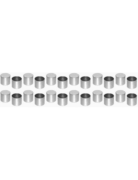 Poussoirs mécaniques BMW M3 E36 M5 E34 S50B30 S38B36 S38B38