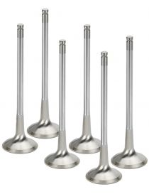 VAG 5 cyl 2.2/2.3 Audi 80/100/A6/RS2 Arbres a cames Catcams