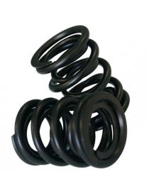 CATCAMS reinforced internal valve spring, part number PAC-I99891