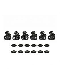 Kit Ressorts soupapes renforcés + Coupelles CATCAMS BMW M30B35 - 12 Soupapes