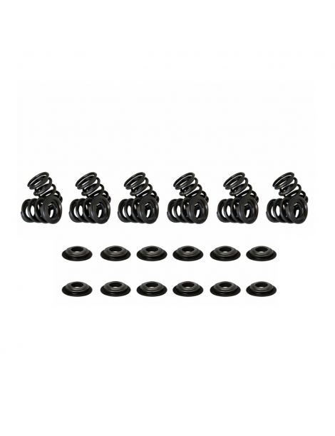 Kit Ressorts soupapes renforcés + Coupelles CATCAMS BMW M30B35 - 12 Soupapes