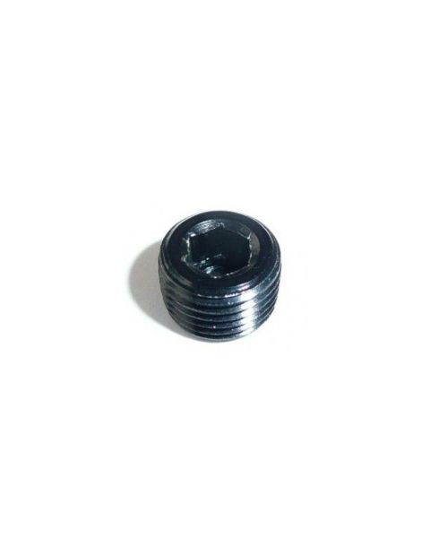 1/8" NPT Bouchon mâle en acier pour taraudage de sonde
