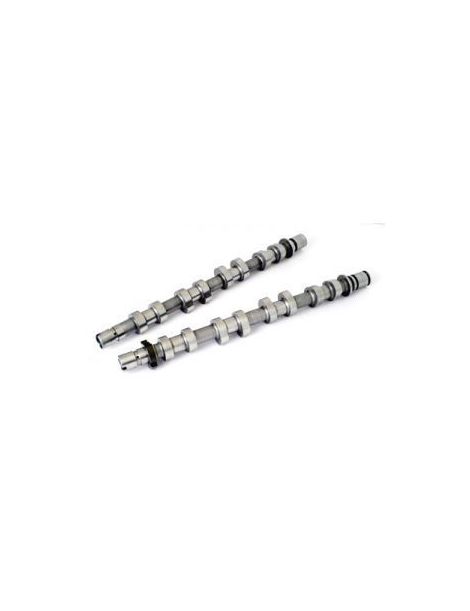 Alberi a Camme CATCAMS Honda D16A9 D16Z5 1.6 16v DOHC - 5 Profili