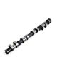 CACAMS camshaft ref 7605123