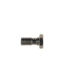 Tornillo banjo simple M16x150