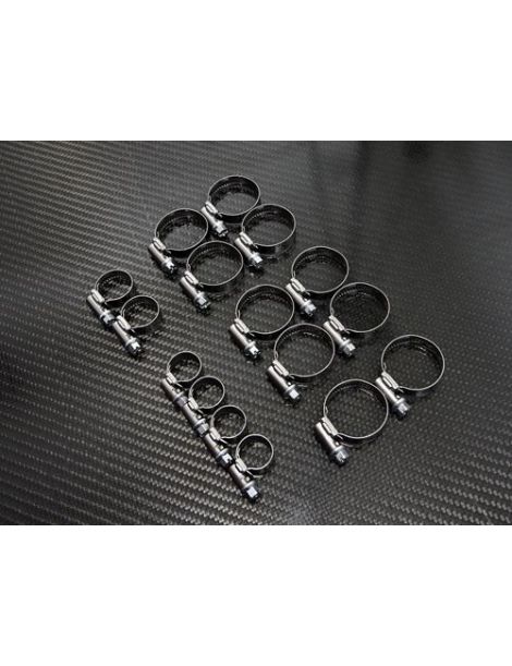 PEUGEOT 206 2.0 S16 kit de 4 abrazaderas para mangueras de agua