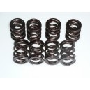 CATCAMS reinforced double valve spring, part number PAC-D99859