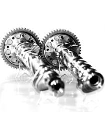 Albero Cammas Sport BMW E36 E34 M50B20 senza vanOS M50B25 senza vanOS