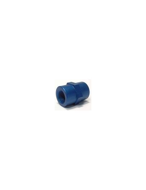 1/8" NPT - 1/8" NPT Adaptateur femelle - femelle