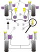 VAG Corrado (89-95) Kit Silent bloc dur 