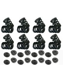 Reinforced Valve Springs PSA 1.6 16V TU5J4 TU5JP4 equipped with T-shaped Tappet "Pouget"
