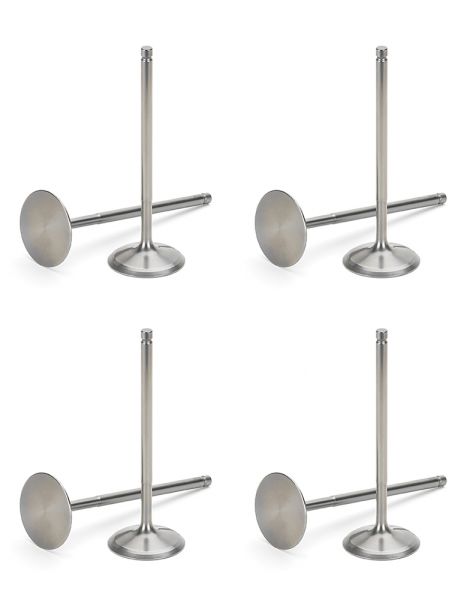 Soupapes admission renforcées PSA 2.0 16V EW10J4