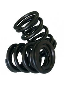 CATCAMS reinforced double valve spring, part number PAC-D99865
