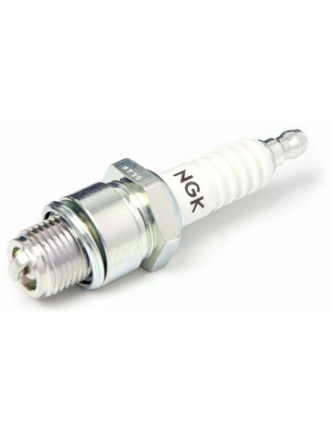 BujÃ­a NGK PLFER7A8EG