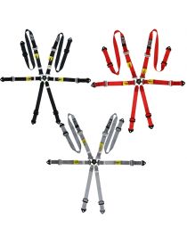 Harnais GT2I 6 points 2"-2'' PRO V2 HANS® homologué FIA 8853/2016 compatible HANS