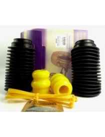 POWERFLEX Performance silent blocks reference BS009K