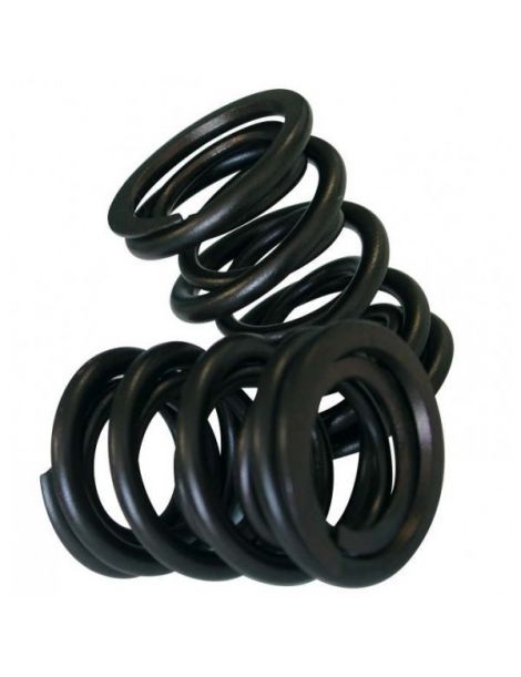 Molla per valvola singola rinforzata CATCAMS,