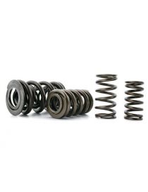 FERREA reinforced double valve spring, reference S10156 - Sold individually