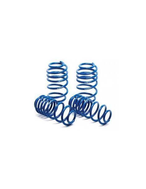 H&R Federn vorne -30 mm / hinten -30 mm für VW Polo (6KV2) Classic 1.4, 1.6, 1.8, 2.0 1.96-9.01